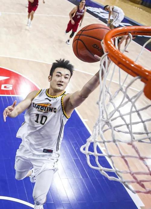 辽宁沈阳三生飞豹篮球俱乐部官宣：丛明晨结束职业篮球生涯开启新篇章