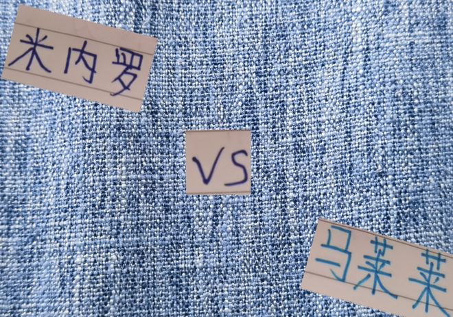 中超11轮马莱莱与米内罗进球数对比，谁更胜一筹？