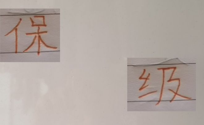 前北京国安苏亚雷斯火速加盟长春亚泰，首秀与保级目标备受关注