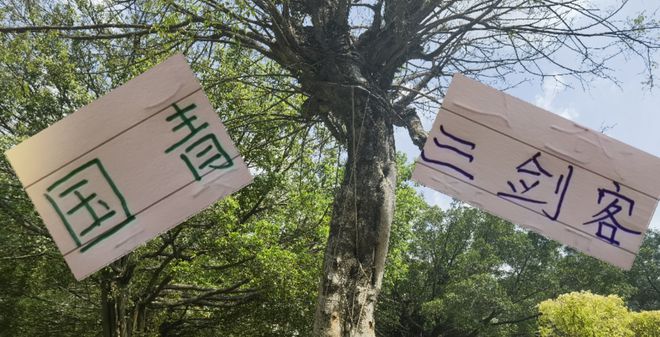 中超第12轮U20国青三小将表现出色，期待世预赛入选国家队